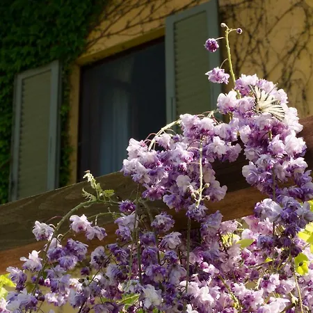 Holiday home Casale Il Troncolo
